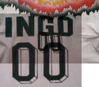 World Cup USA 00 INGO
