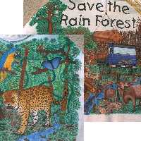 Rain Forest